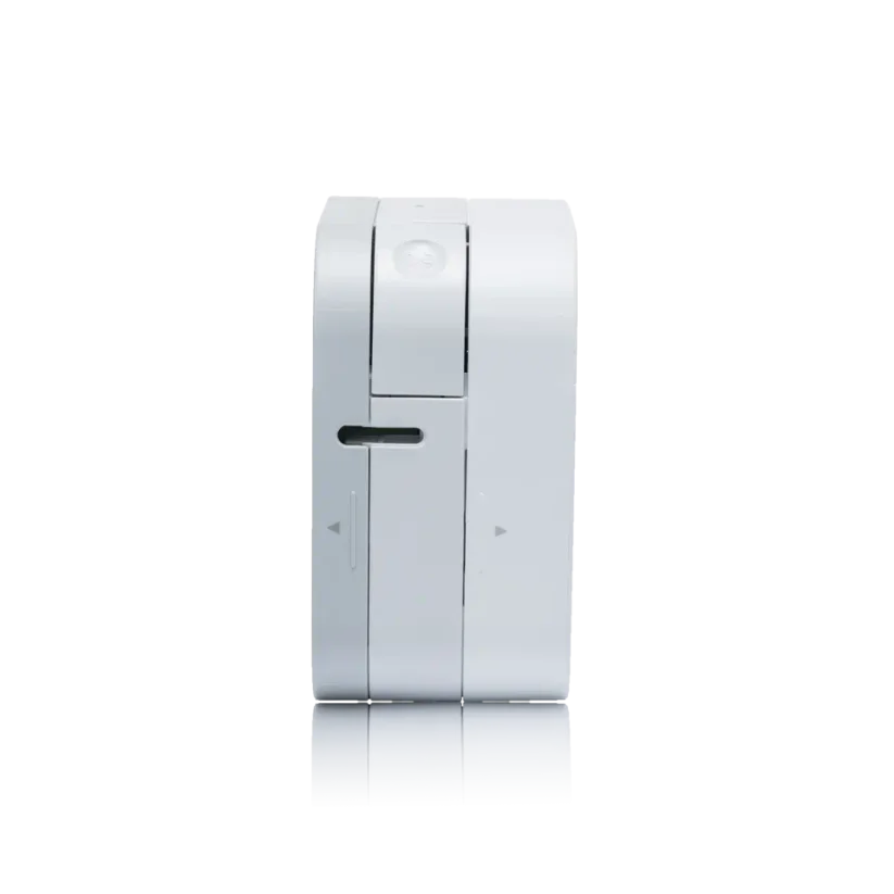 Brother PT-P300BT PTP300BTRE1